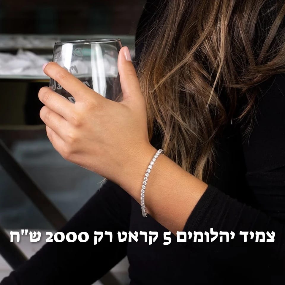 עיצוב חדש 12