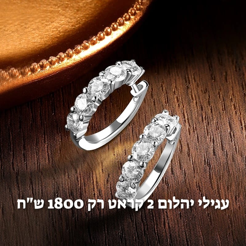 עיצוב חדש 13