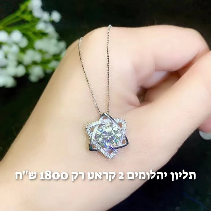 עיצוב חדש 15