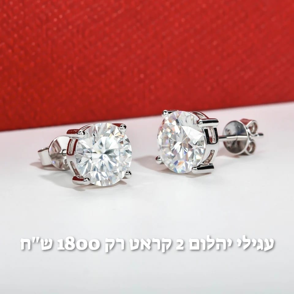 עיצוב חדש 16