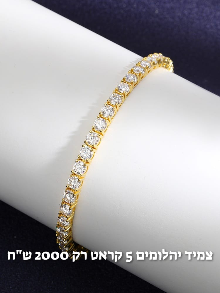 עיצוב חדש 18