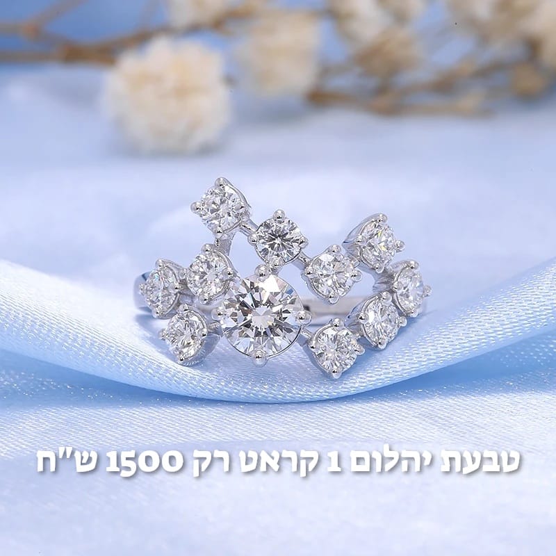 עיצוב חדש 22