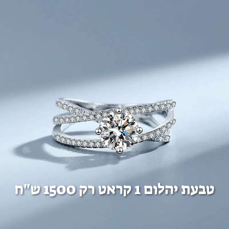 עיצוב חדש 25