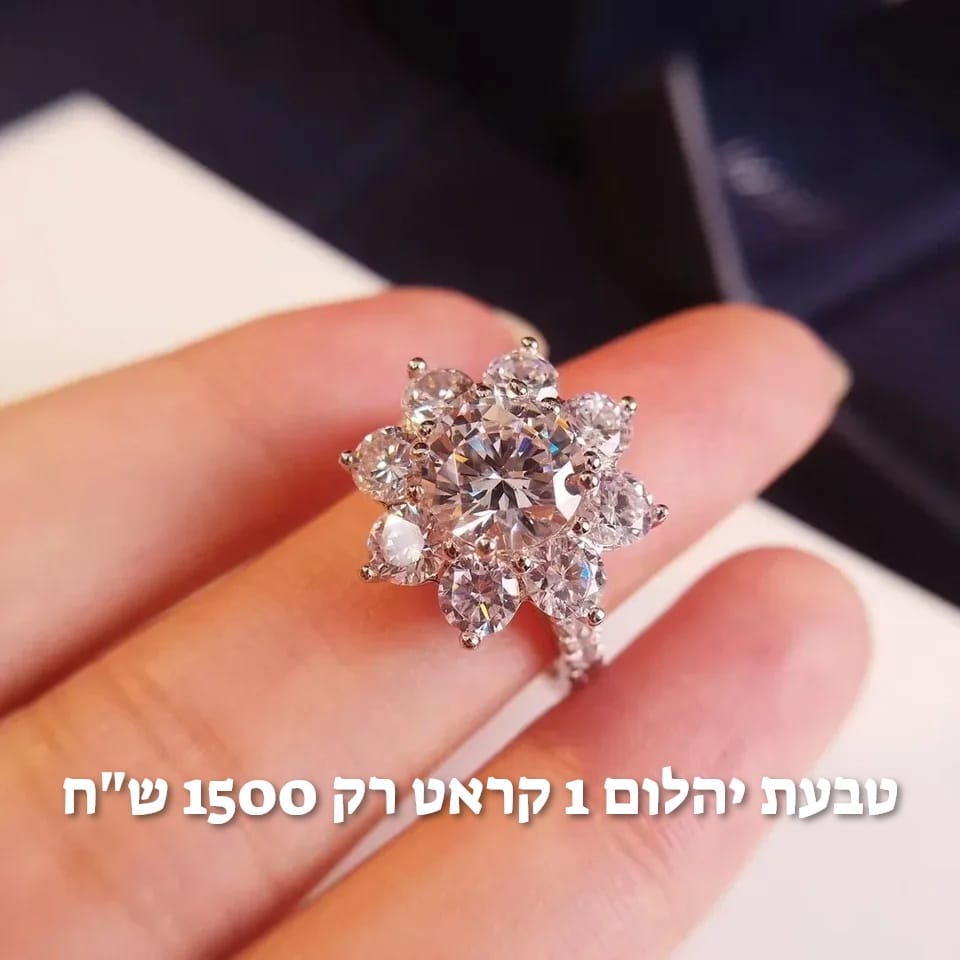 עיצוב חדש 28