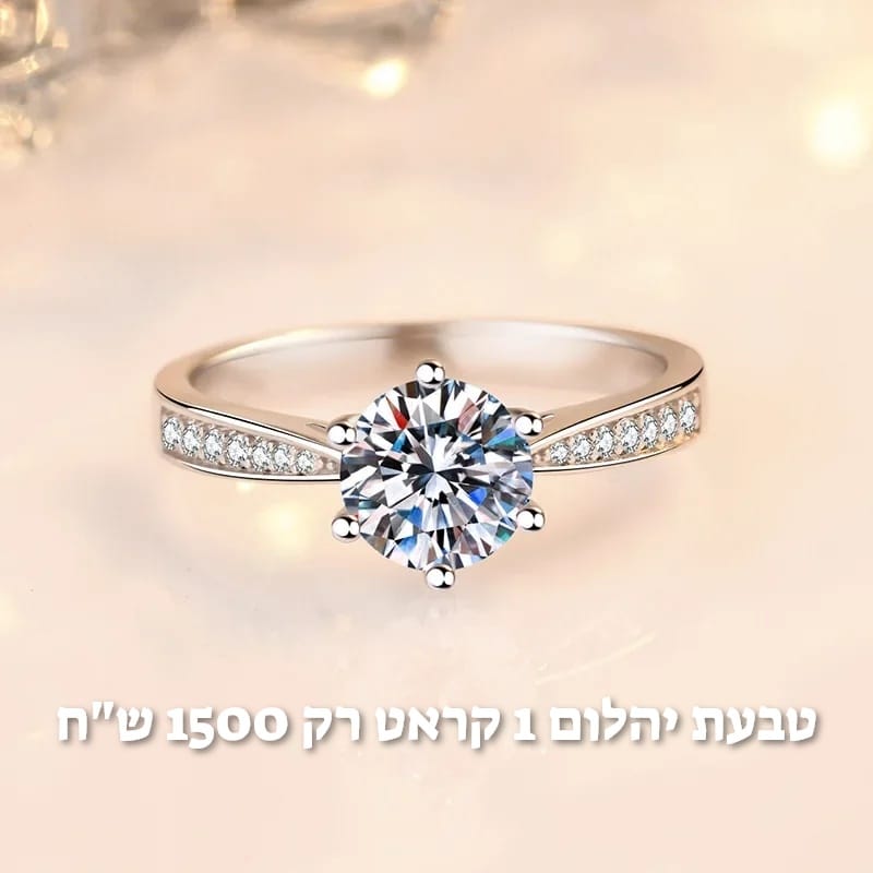 עיצוב חדש 34