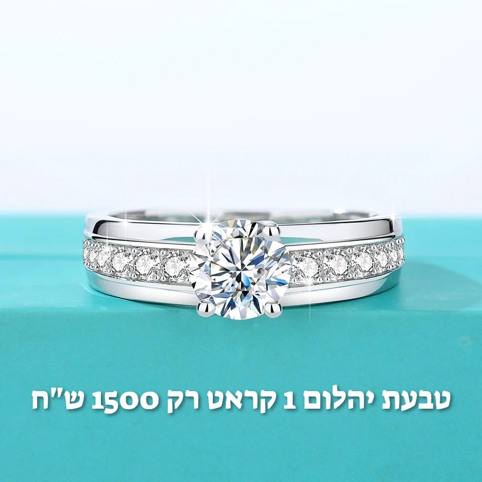 עיצוב חדש 36