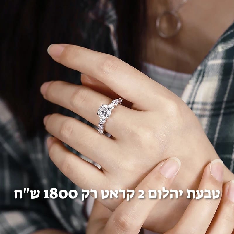 עיצוב חדש 39