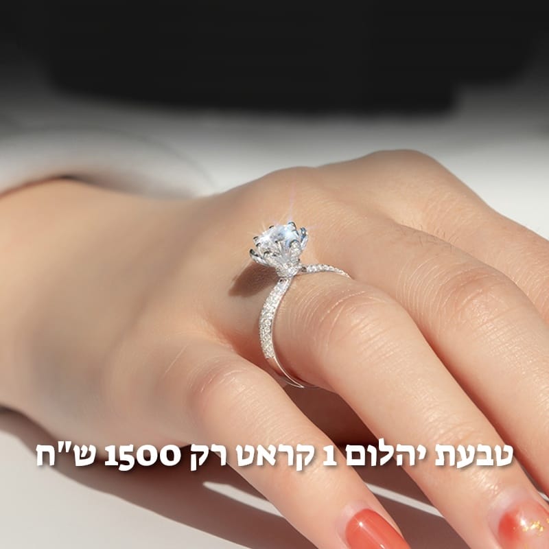 עיצוב חדש 43