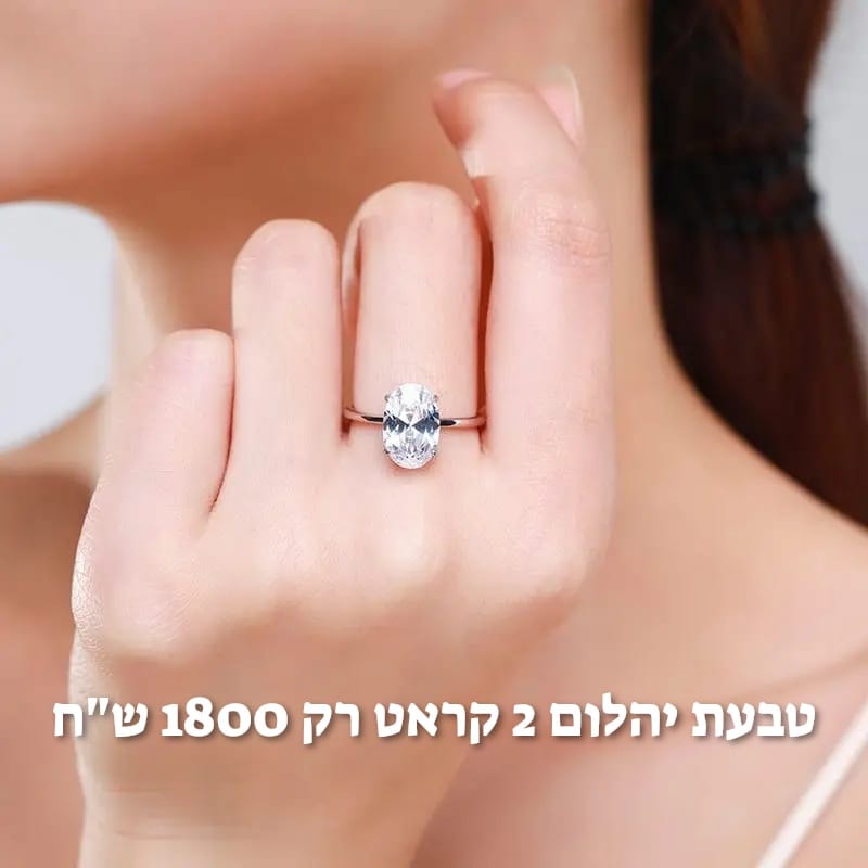 עיצוב חדש 48