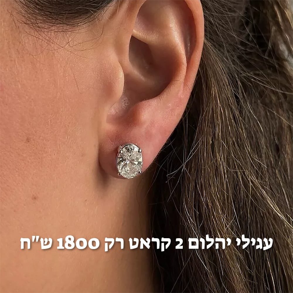 עיצוב חדש 55