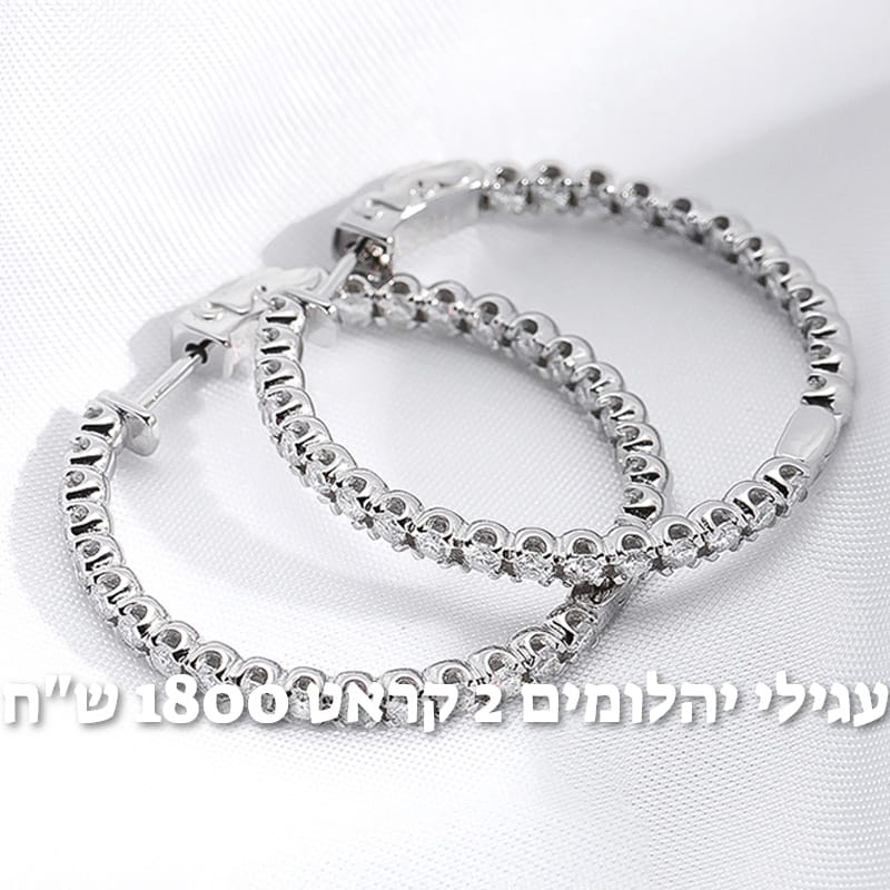 עיצוב חדש 59