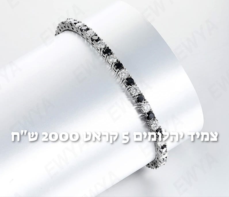 עיצוב חדש 61