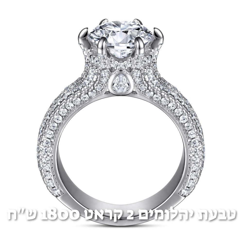 עיצוב חדש 68