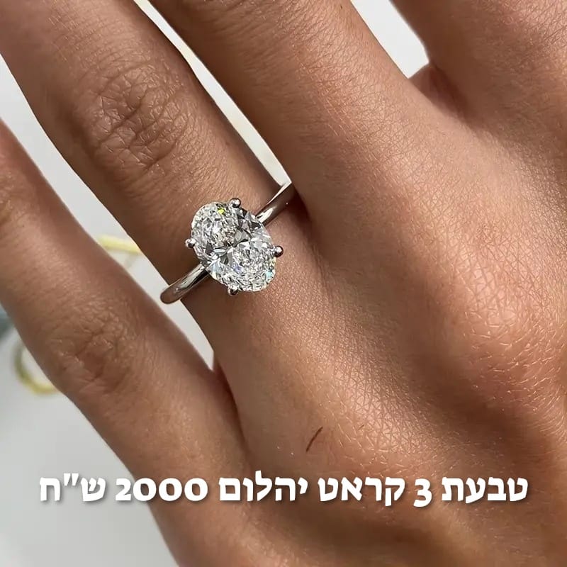 עיצוב חדש 70