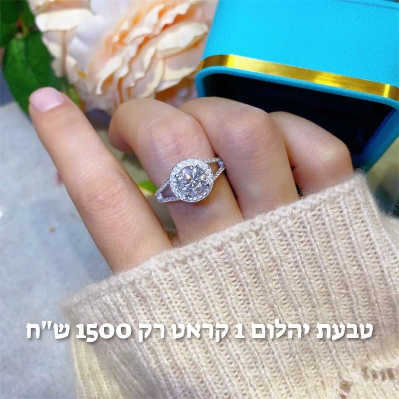 עיצוב חדש 77