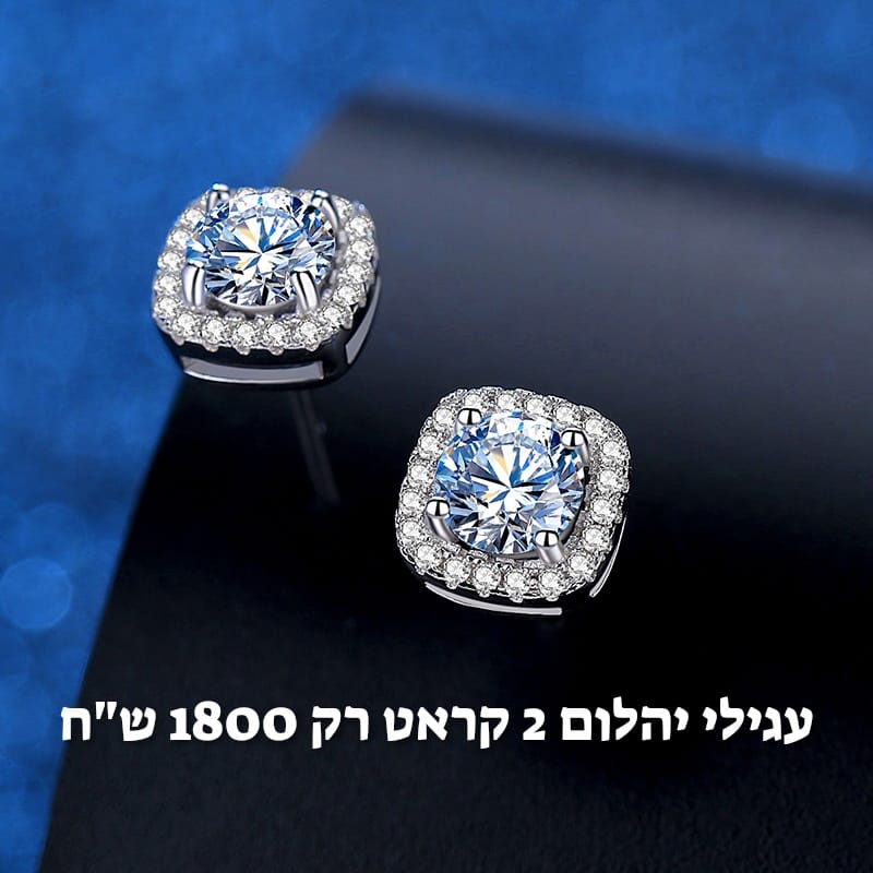 עיצוב חדש 79